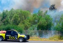 Incendio de maleza causa movilización en Paseo de los Derechos Humanos