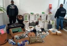 Aseguran laboratorio e invernadero de marihuana en Huixquilucan