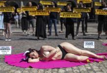 Antitaurinos protestan semidesnudos en Madrid contra las corridas de toros