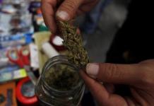 Colombia se encamina a la despenalización del uso del cannabis recreativo
