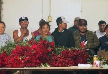 El Organal, el hogar de millones de rosas del Día de las Madres en México