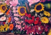 Estimación de ventas para el Día de las Madres en CDMX