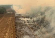 Decenas de incendios forestales amenazan varias comunidades indígenas del oeste de Canadá