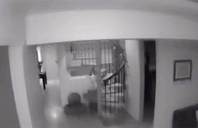 Imagen: Captura de video