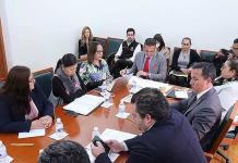 Deja Liliana Flores comisión de vigilancia Deja Liliana Flores comisión de vigilancia