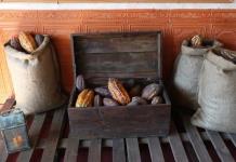 Descubre los secretos del cacao y su impacto en la salud