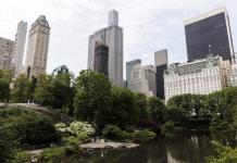 Nueva York pagará 5.5 millones a una mujer herida al caerle un árbol de Central Park