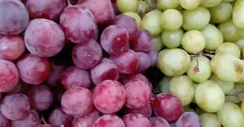 Profeco destaca los múltiples beneficios de consumir uvas