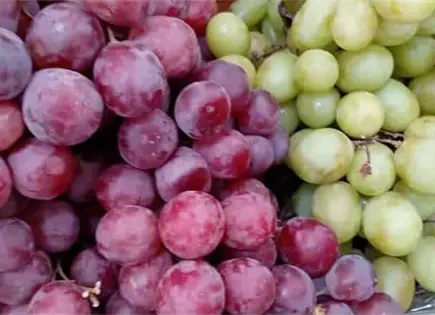 Profeco destaca los múltiples beneficios de consumir uvas