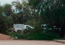 Hallan a niño muerto, por ataque de perros