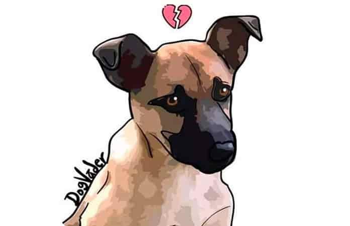 Imagen: DogVader en Instagram