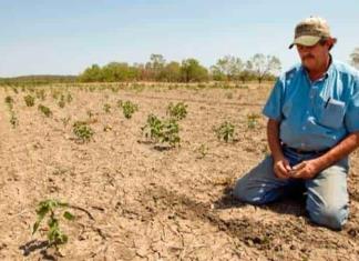 Propuesta de AMLO, pasar la responsabilidad a estados de cubrir gastos por desastres