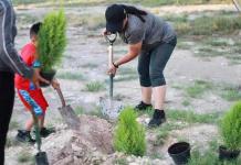 Reforestan la Unidad Deportiva de Cedral