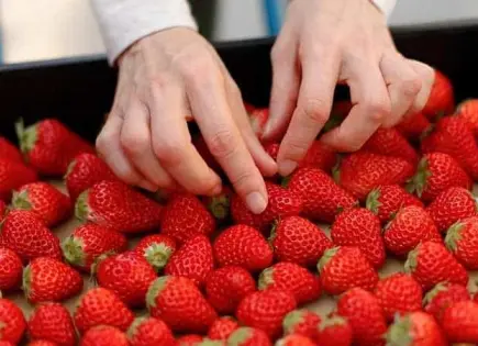 Las frutas y verduras más ricas de mayo