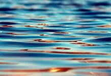 El lago dulce más grande de China marca récord de inicio temprano de su temporada seca El lago dulce más grande de China marca récord de inicio temprano de su temporada seca