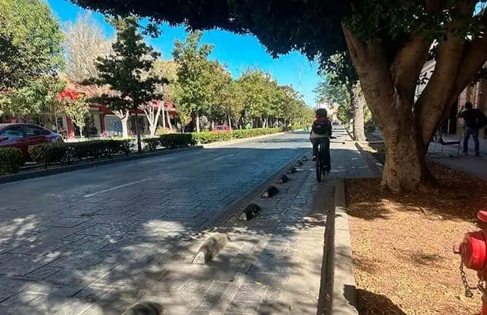 ¿Qué calles del centro serán de máximo 30km/h?