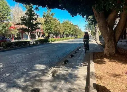 ¿Qué calles del centro serán de máximo 30km/h?