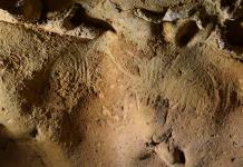 Una cueva en Francia alberga los grabados más antiguos hechos por neandertales