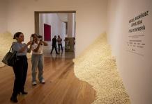 Artista mexicano usa palomitas de maíz para representar el flujo migratorio