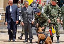 Homenaje a Wilson, el perro que ayudó a hallar a niños sobrevivientes en selva colombiana