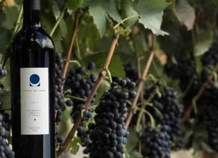 Vinos Especiales para Regalar en el Día de las Madres