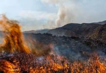 Ola de calor alerta a España