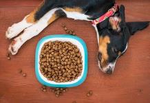 Las marcas de croquetas de perro que no cumplen, según Profeco