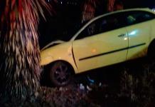 Abandonan carro tras chocar contra una palma
