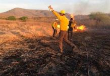 Suman dos incendios forestales en temporada de sequía