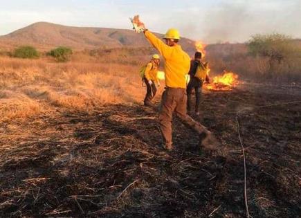 Suman dos incendios forestales en temporada de sequía