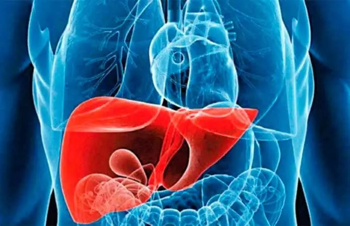México busca erradicar la hepatitis C como problema de salud pública
