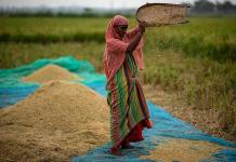 Sube precio de alimentos a nivel tras retiro de Rusia de acuerdo de granos y restricción de India
