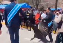 Captan a alcalde arrastrando un cóndor andino en Perú