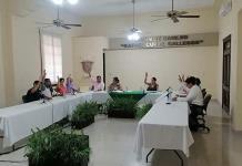 Regularizará Alcaldía predios de El Carmen