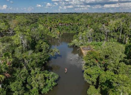 Perdidos en el Amazonas: La historia de sobrevivencia de 4 niños