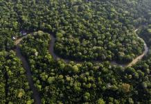 Ocho países de la selva amazónica inician cumbre en Brasil