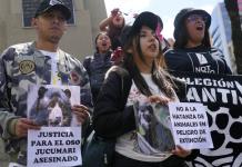 Activistas animalistas piden justicia por la muerte de un oso jucumari en un área natural de Bolivia