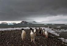 Antártida vive clima extremo