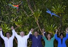 Países selváticos de Asia y África se suman a cumbre de la Amazonía