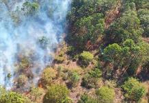 Segam y Protección Civil brindan apoyo contra incendio en límites con Guanajuato