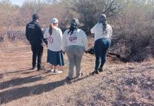 Buscadoras hallan cuerpos en Sonora
