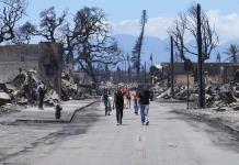 Cables eléctricos derribados habrían causado los mortíferos incendios en Hawai