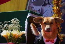 Misa, bendición y mimos para los perros en el día de San Roque en Bolivia