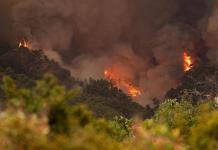 Un voraz incendio arrasa ya con 800 hectáreas en las islas Canarias, en España
