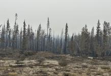 Residentes empiezan a evacuar mientras incendio se aproxima a los Territorios Noreste de Canadá