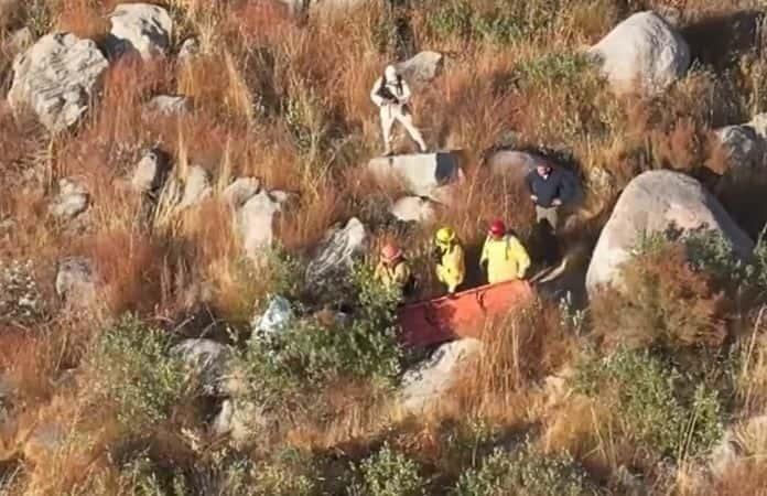 Imagen: Captura de video