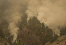 El fuego en la isla española de Tenerife afecta a 12,800 hectáreas