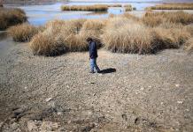 Sequía y desesperanza ponen en riesgo la vida alrededor del gran lago Titicaca en Bolivia