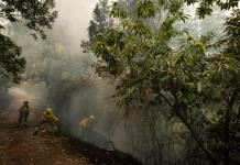 Policía confirma que incendio en isla española de Tenerife fue deliberado