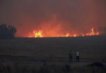 Evacuan más aldeas por incendio forestal en el norte de Grecia